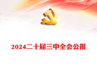 实用党的二十届三中全会公报讲稿免费下载