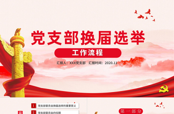 2025优质党支部换届选举工作流程PPT模板免费下载