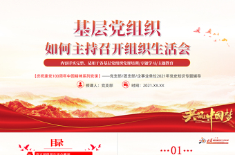 2025红色质感基层党组织党委党支部组织生活会党员微党课模板免费下载