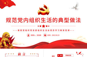 2025红色党建风规范党内组织生活的典型做法PPT红色党政风基层党组织党支部组织生活会党员学习教育党课免费下载