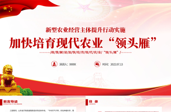 红色头雁党课ppt