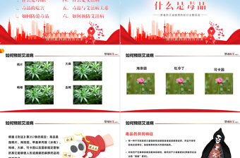2025禁毒防艾PPT卡通风艾滋病预防知识宣讲主题班会课件模板免费下载