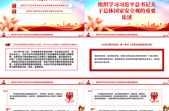 2025精美时尚4月份主题党日活动PPT党建风学习总体国家安全观党课课件免费下载