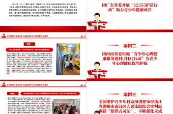 2025红色庄严《共青团开展未成年人权益保护工作典型案例》PPT精美创意8个案例分析课件免费下载