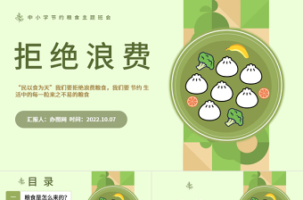 节约粮食党课PPT