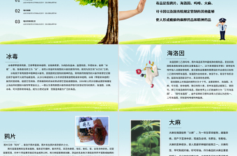 2025简约大气国际禁毒日无毒青春健康生活青少年毒品预防教育主题班会PPT模板免费下载