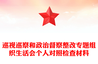 2025精选巡视巡察和政治督察整改专题组织生活会个人对照检查材料免费下载
