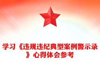 2025精品学习《违规违纪典型案例警示录》心得体会参考免费下载