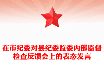 2025优质在市纪委对县纪委监委内部监督检查反馈会上的表态发言免费下载