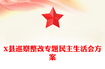 2025优质X县巡察整改专题民主生活会方案免费下载