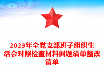 2025精品全党支部班子组织生活会对照检查材料问题清单整改清单免费下载