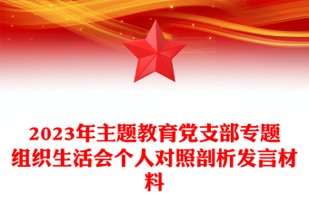 2025精品主题教育党支部专题组织生活会个人对照剖析发言材料讲稿免费下载