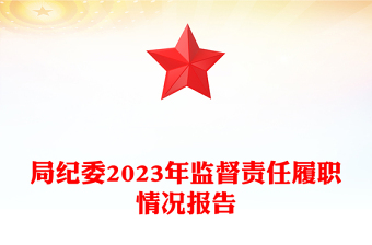 监督责任报告