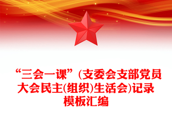 2025精品“三会一课”(支委会支部党员大会民主(组织)生活会)记录模板汇编免费下载