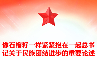 2025精品像石榴籽一样紧紧抱在一起讲稿免费下载
