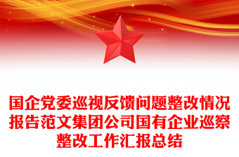 2025通用国企党委巡视反馈问题整改情况报告范文集团公司国有企业巡察整改工作汇报总结免费下载