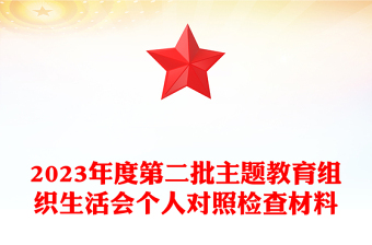 2025优秀第二批主题教育组织生活会个人对照检查材料免费下载