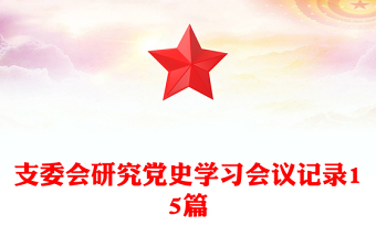 2025通用支委会研究党史学习会议记录15篇免费下载