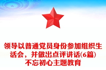 组织生活会领导点评
