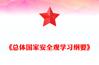 总体国家安全观