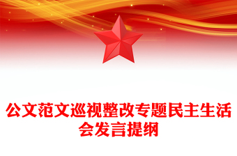 2025通用公文范文巡视整改专题民主生活会发言提纲免费下载
