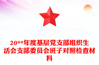 2025党支部委员对照材料免费下载