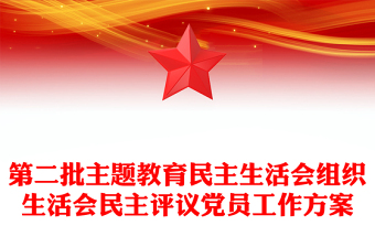 2025实用第二批主题教育民主生活会组织生活会民主评议党员工作方案免费下载