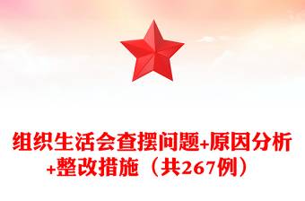 2025优质组织生活会查摆问题+原因分析+整改措施（共267例）免费下载