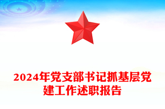 2025精选党支部书记抓基层党建工作述职报告下载免费下载