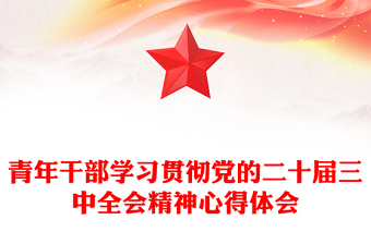 精选青年干部学习贯彻党的二十届三中全会精神心得体会范例免费下载