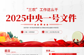 2025中央一号文件PPT深化农村改革扎实推进乡村全面振兴课件免费下载