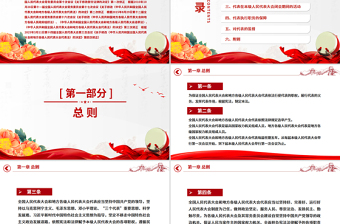 2025优秀新修订《全国人民代表大会和地方各级人民代表大会代表法》PPT课件模板免费下载