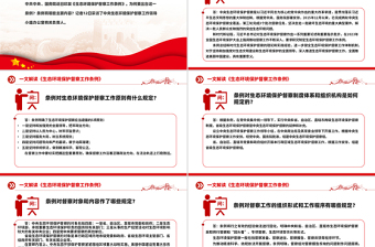 2025大气时尚一文读懂《生态环境保护督察工作条例》PPT课件免费下载